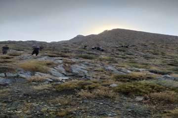 1 (2)